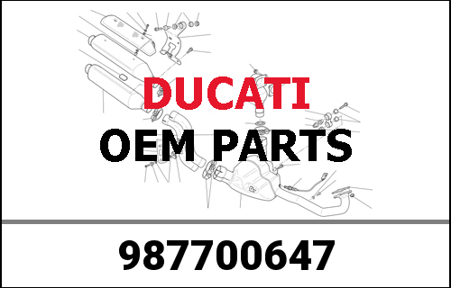 DUCATI純正 BORN FREE SCR POLO-SHIRT XXL | 987700647