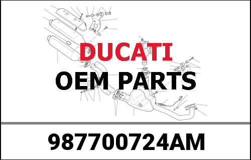 DUCATI純正 SOUVENIR AMSTERDAM RED T-SHIRT MAN M | 987700724AM